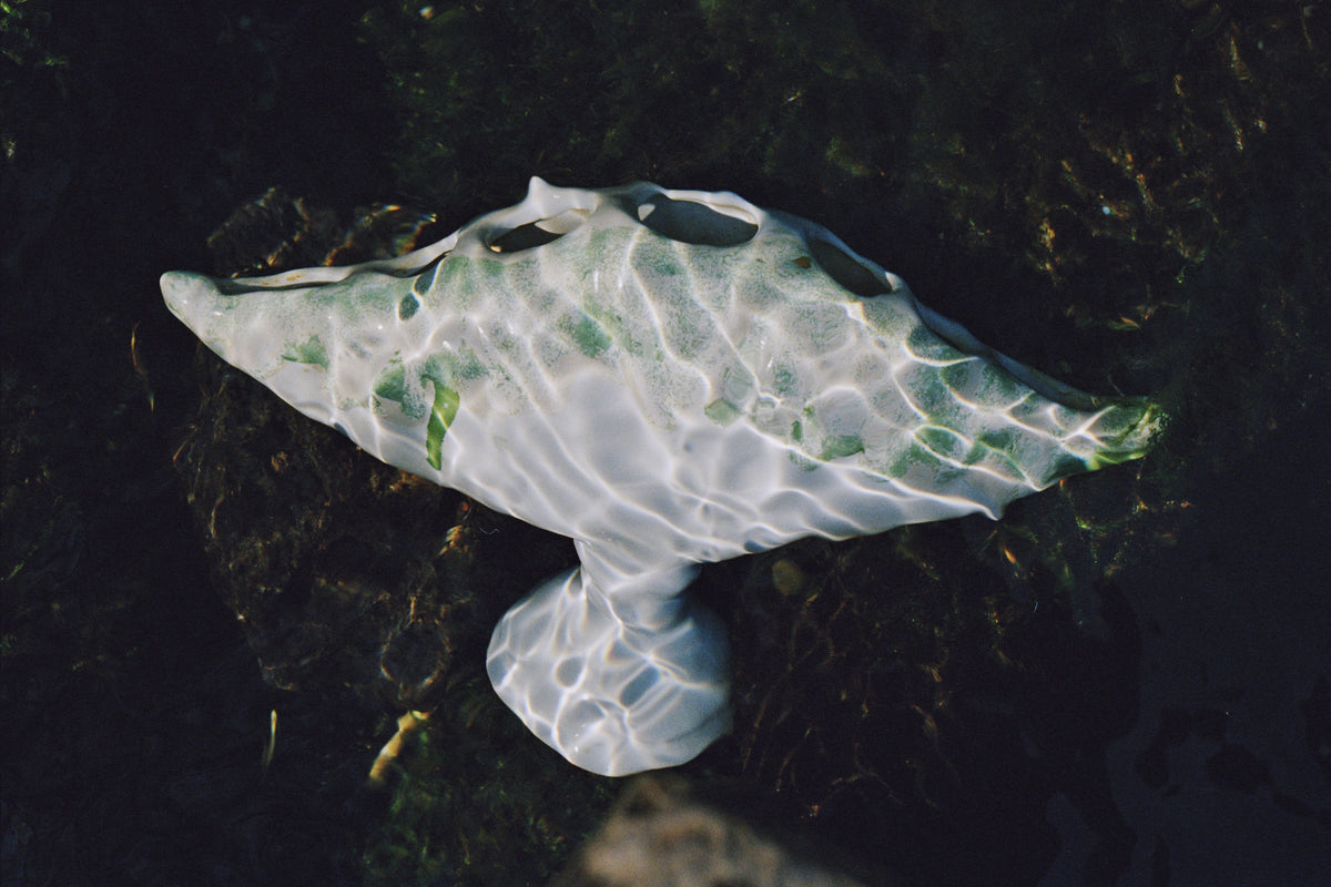 Seashore Whisper